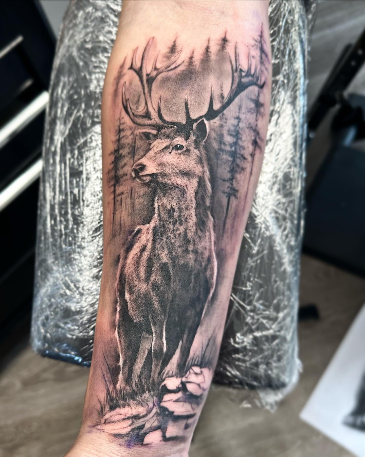 Stag for @james_monson_ , his first tattoo 👍. 
.
.
.
.
.
.
.
#realism #stagtattoo #blackandgreytattoo #tattoo