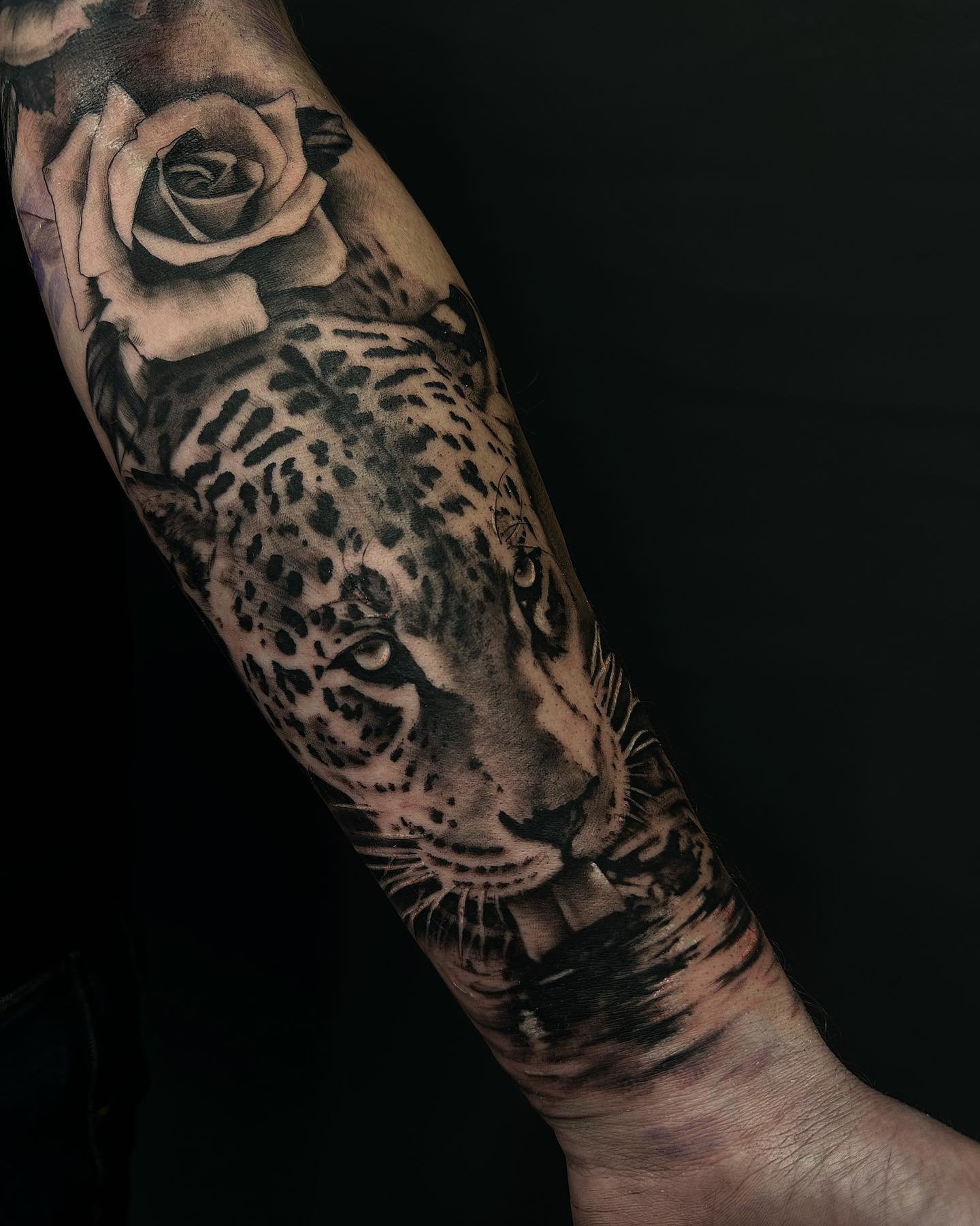Jaguar drinking piece I added to @ryan.wallace.988 sleeve 👍
.
.
.
.
.
.
.
.
.
.
#jaguar #realisim #realismtattoo #tattoo