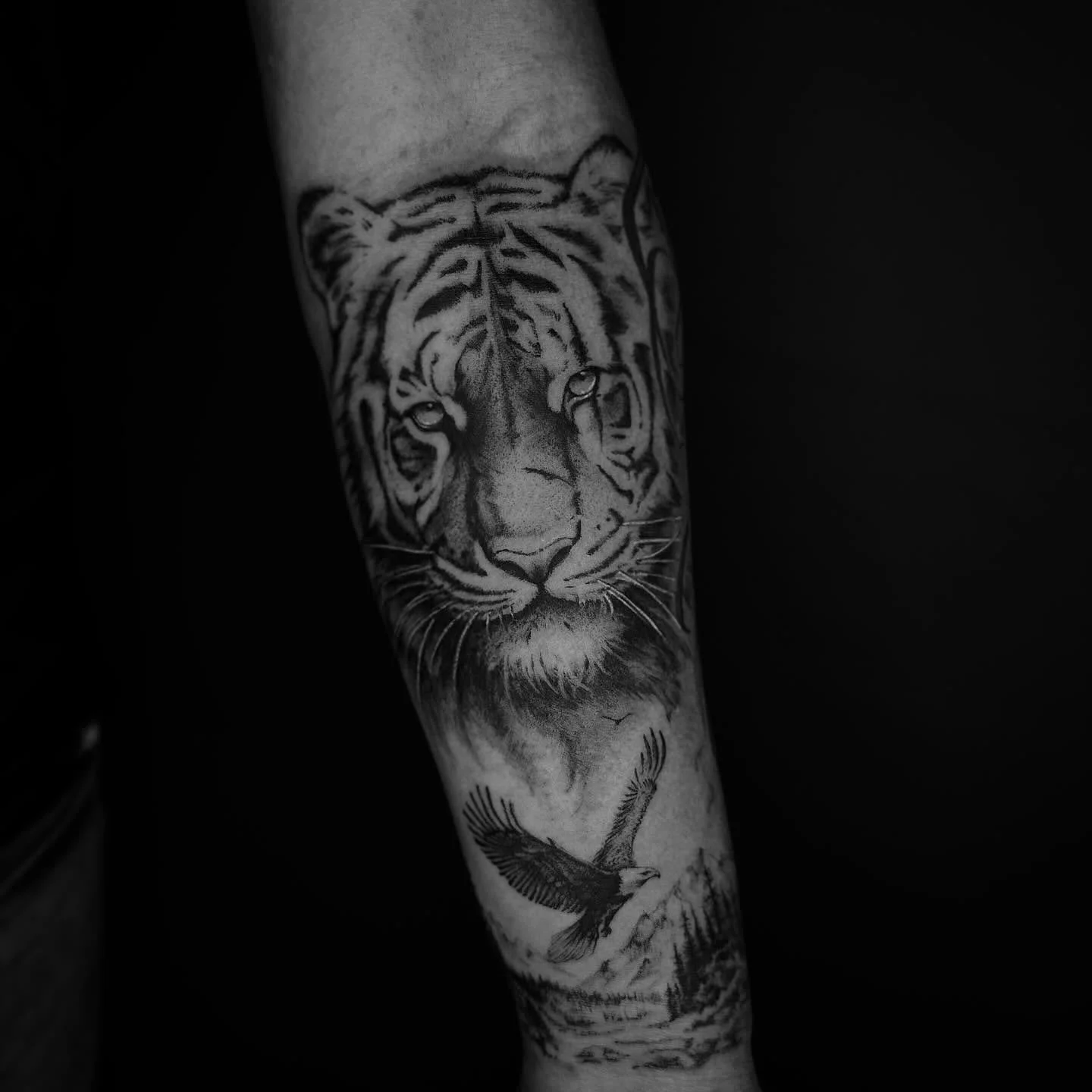 🐯+⛰️ + 🦅 
.
.
.
.
.
.
#tigertattoo #eagletattoo #blackandgreyrealism #nzartist #inkedforlife