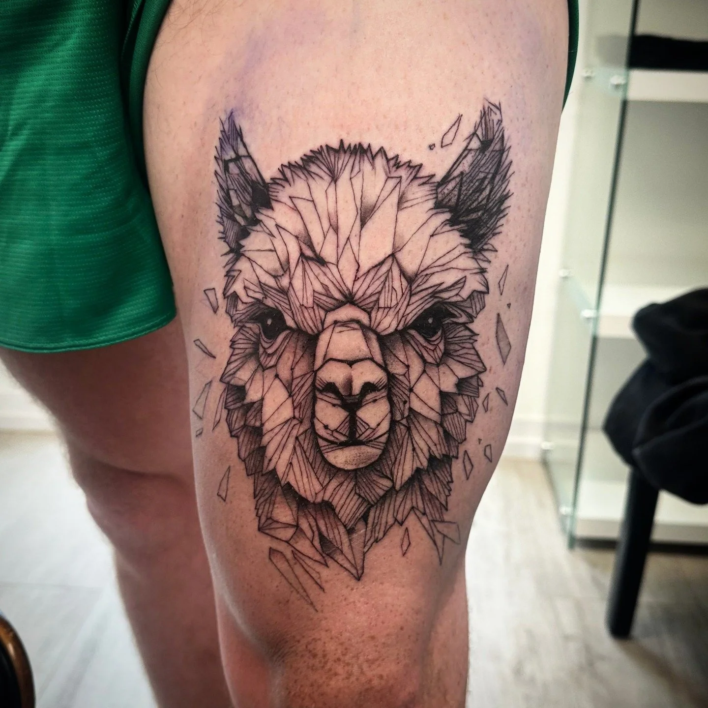Geo Alpaca
.
.
.
#animaltattoo #geometrictattoo #finelinetattoo #nzartist #alpaca