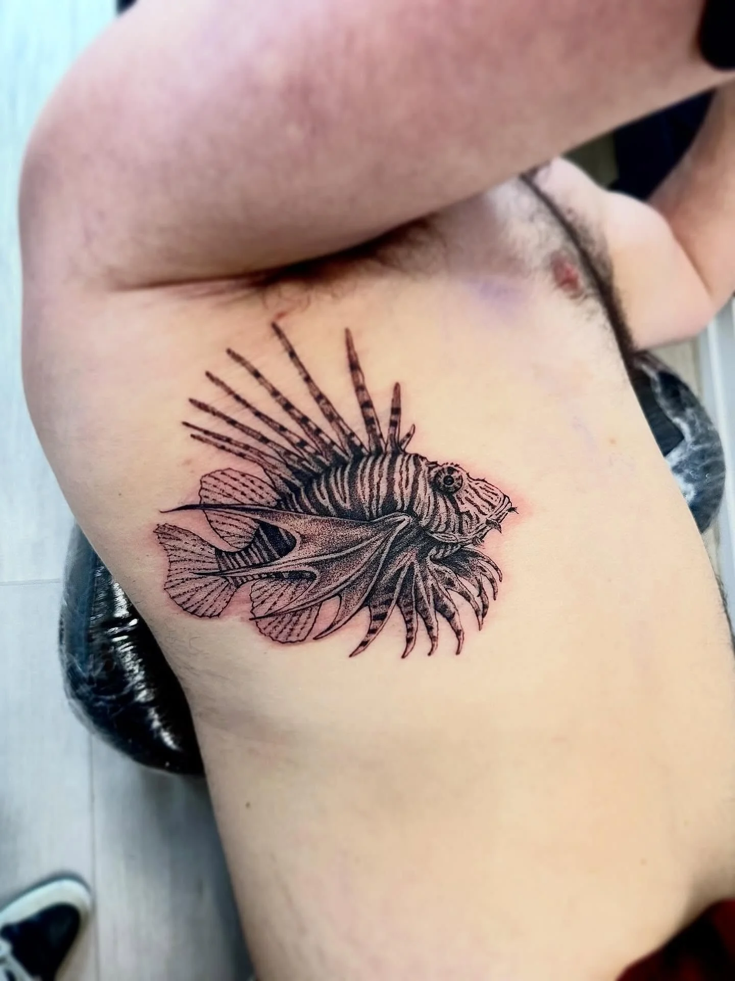 Lion fish 🐟