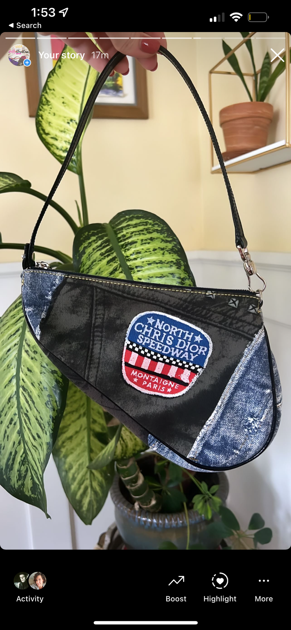 Dior Speedway Saddle — HollyClosetCase