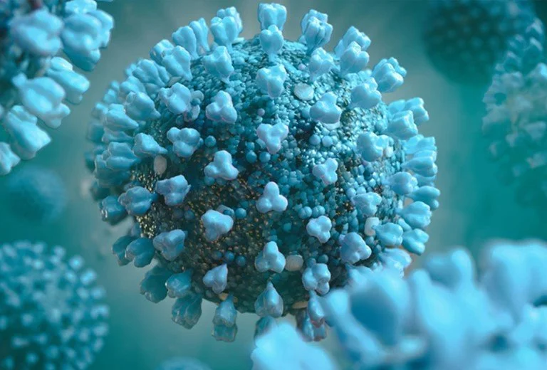 ROEBOURNE DHS COVID-19 CASE