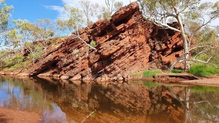 NATIVE TITLE YINHAWANGKA 