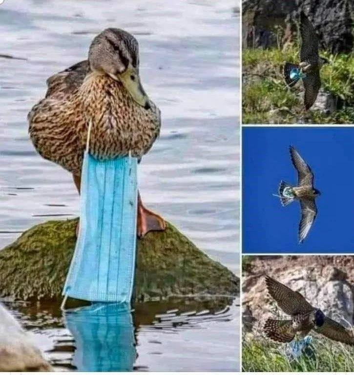 NGAARDA NEWS TUESDAY THE 15TH OF MARCH 2022