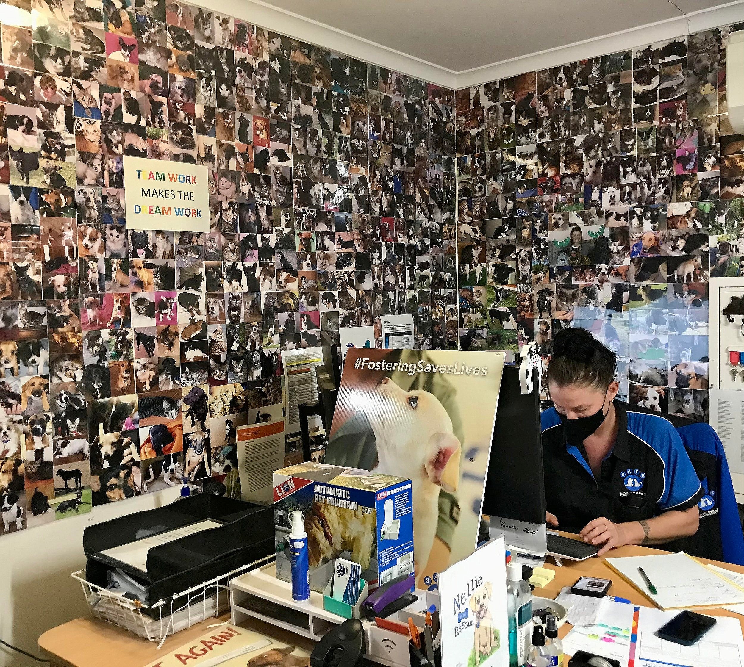 DEADLY YARNS INTERVIEW WITH SUE HEDLEY AND COSSACK JENNY 