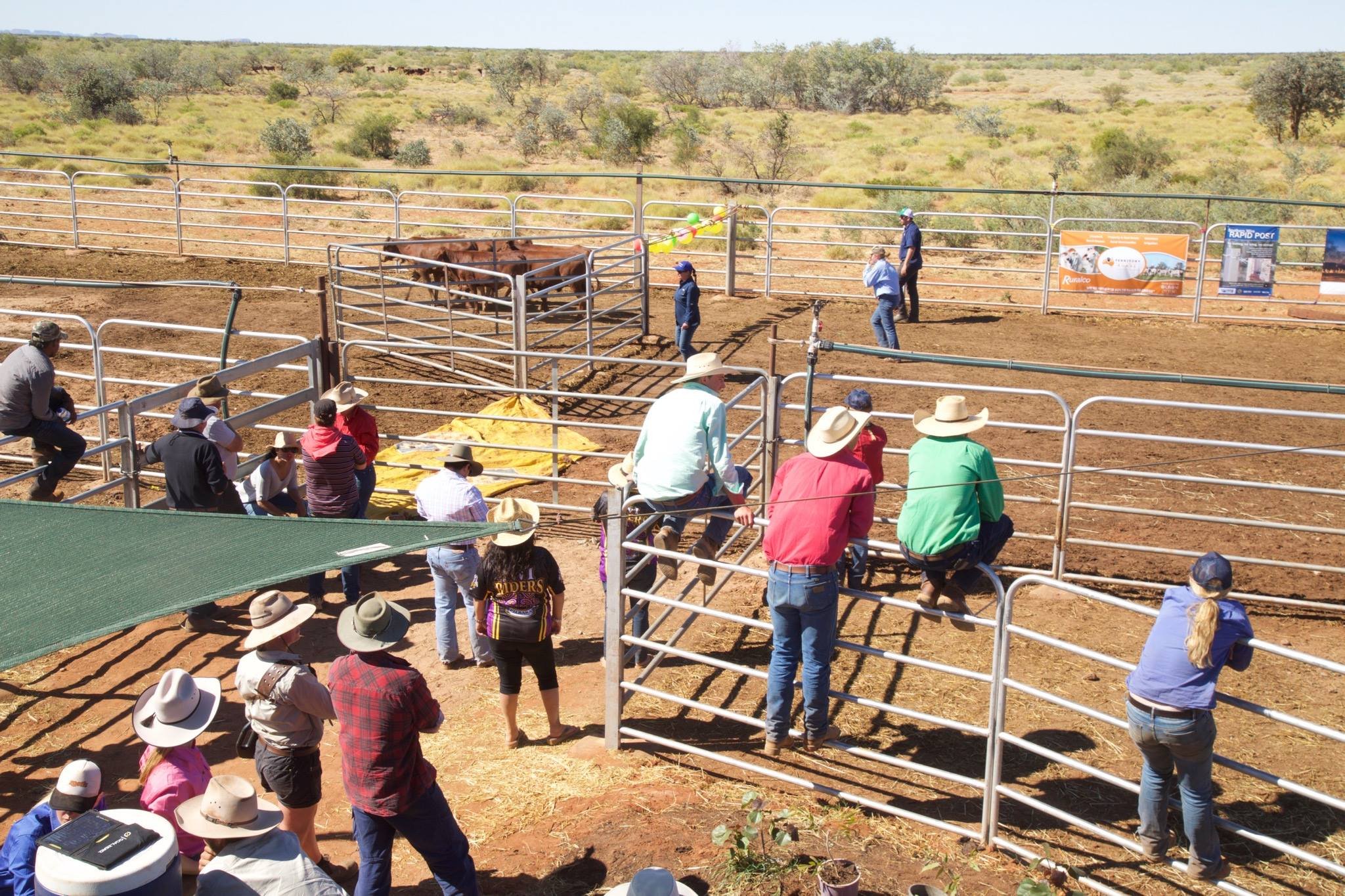 NGAARDA NEWS WEDNESDAY THE 6TH OF APRIL 2022