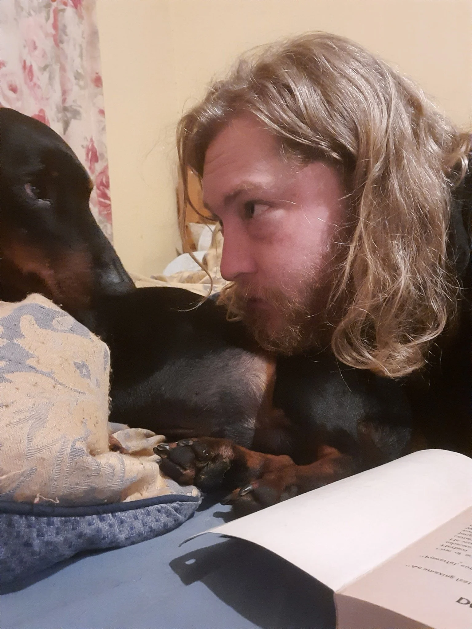 HAY WINS WORLD SONGWRITING AWARD