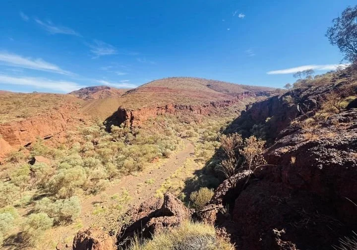 NGAARDA NEWS TUESDAY THE 12TH OF APRIL 2022