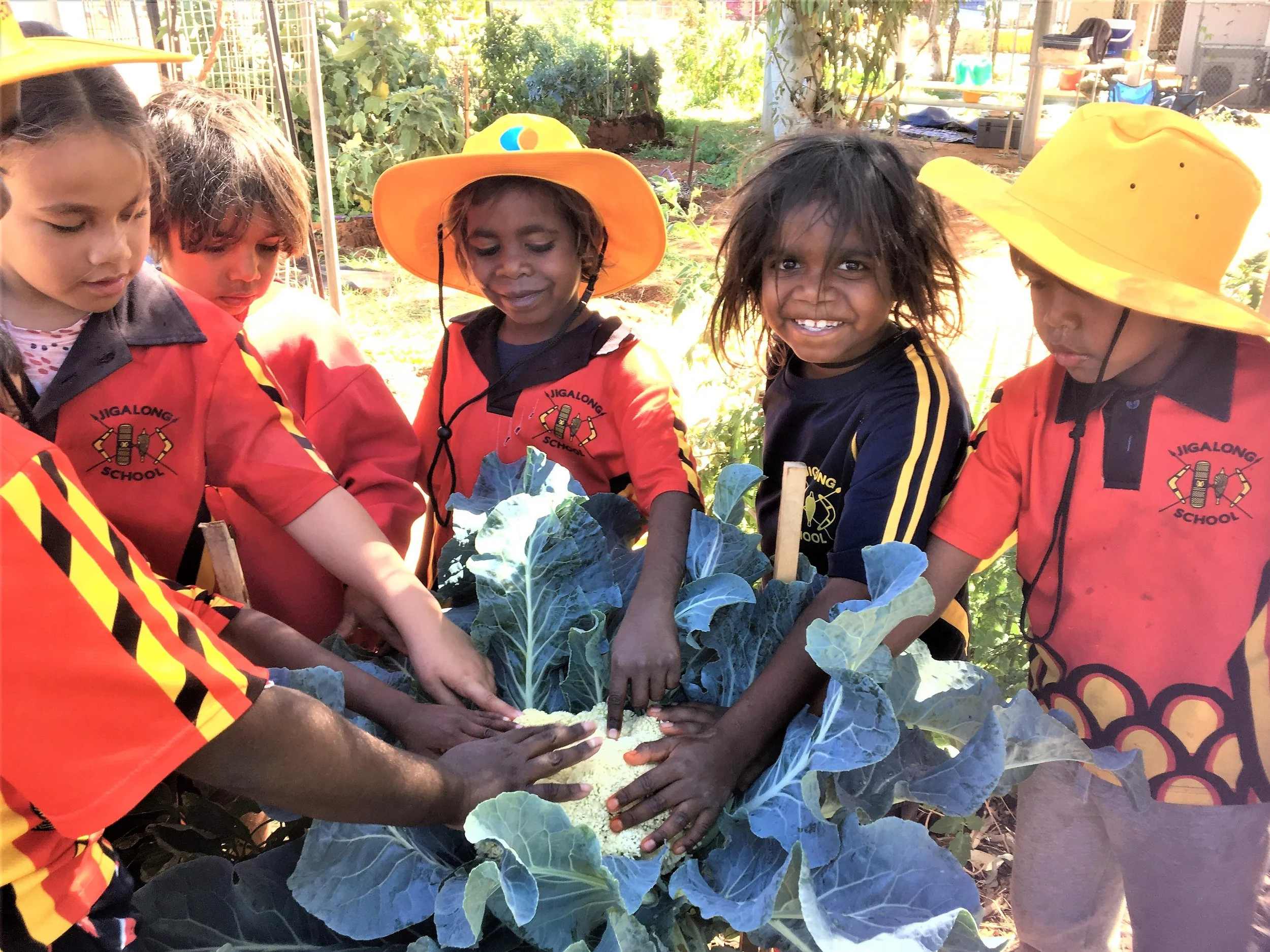 NGAARDA NEWS FRIDAY THE 3RD OF JUNE 2022