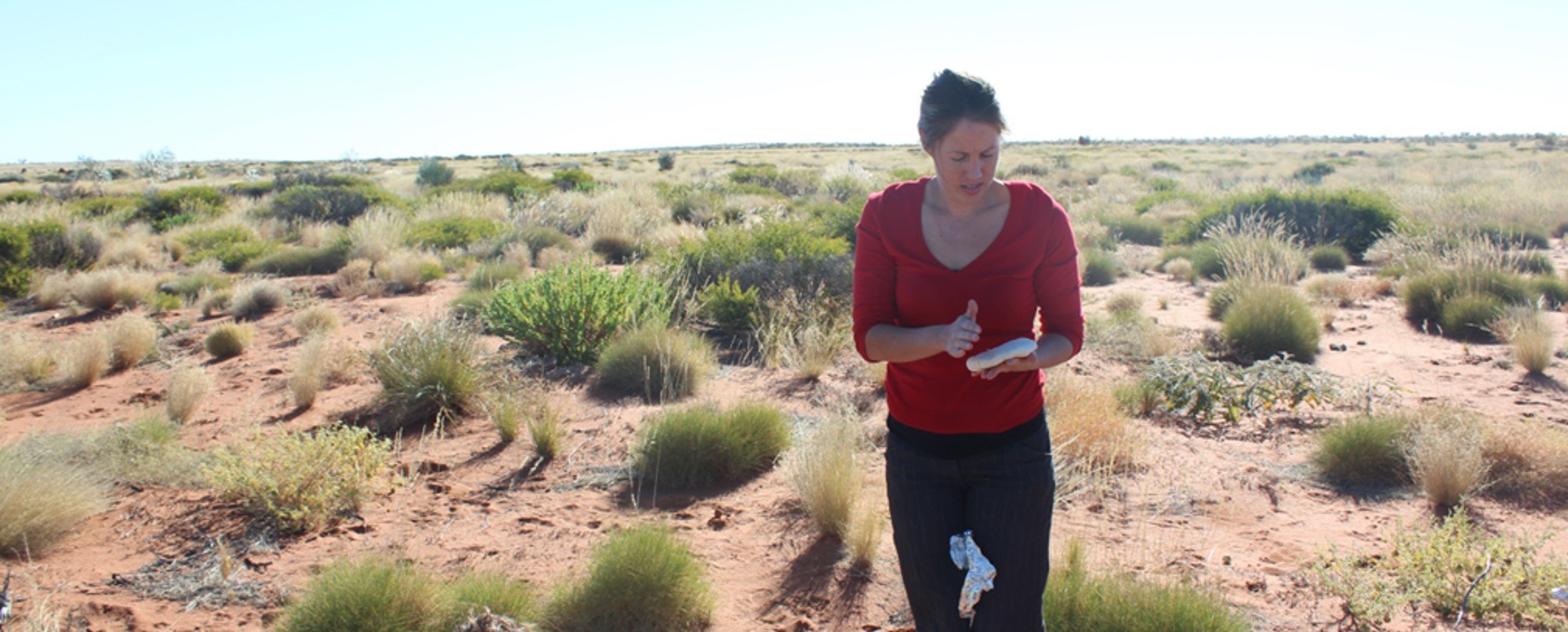 TIPPING POINT TO SAVE LOCAL LANGUAGES