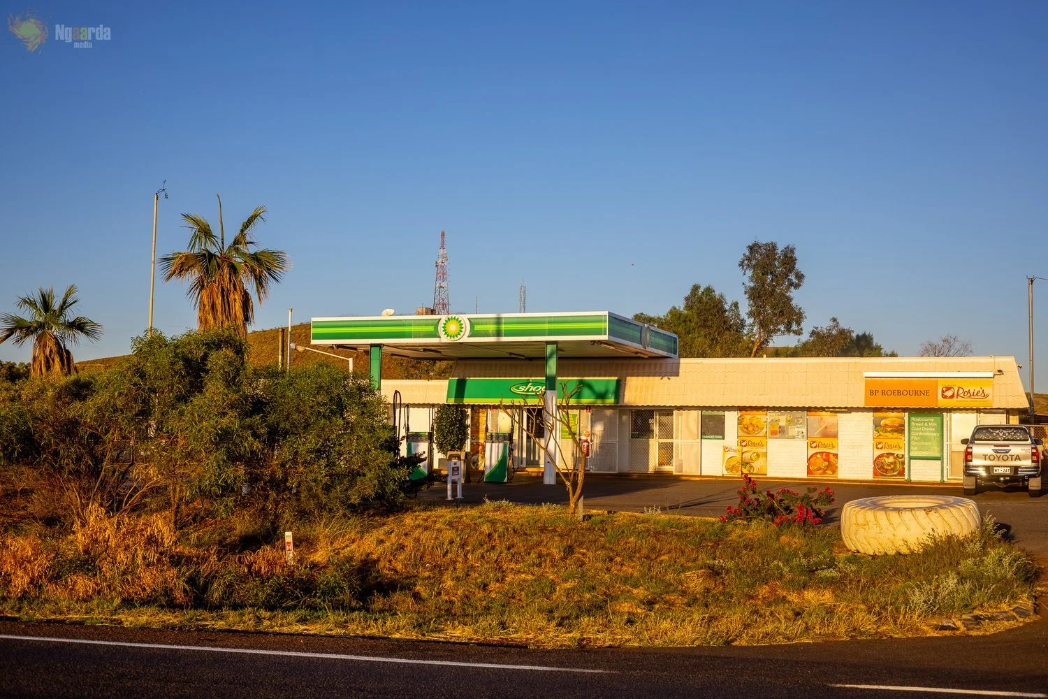 CASH COW FOR SALE IN ROEBOURNE