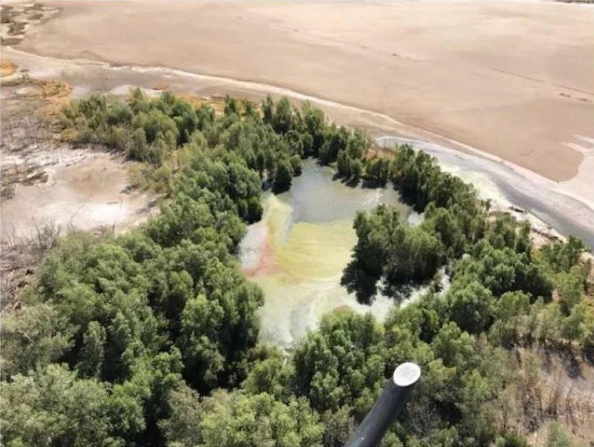 WYNDAM LEAKS SEWAGE INTO THE SEA