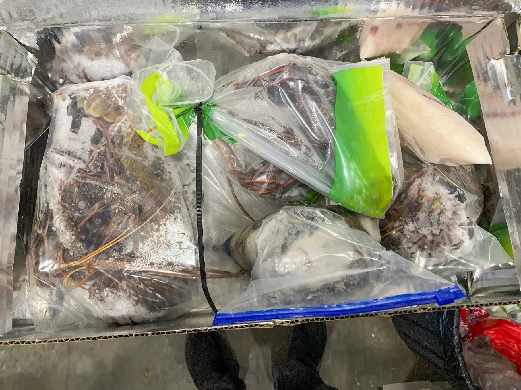 NGAARDA NEWS TUESDAY THE 23RD OF AUGUST 2022