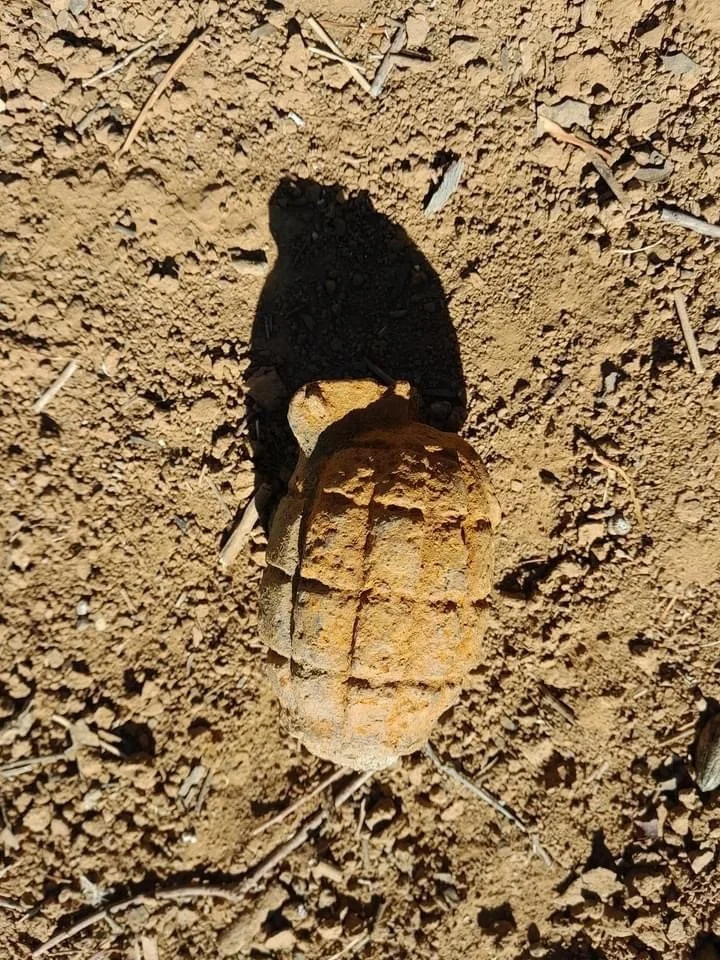 NGAARDA NEWS MONDAY THE 29TH OF AUGUST 2022