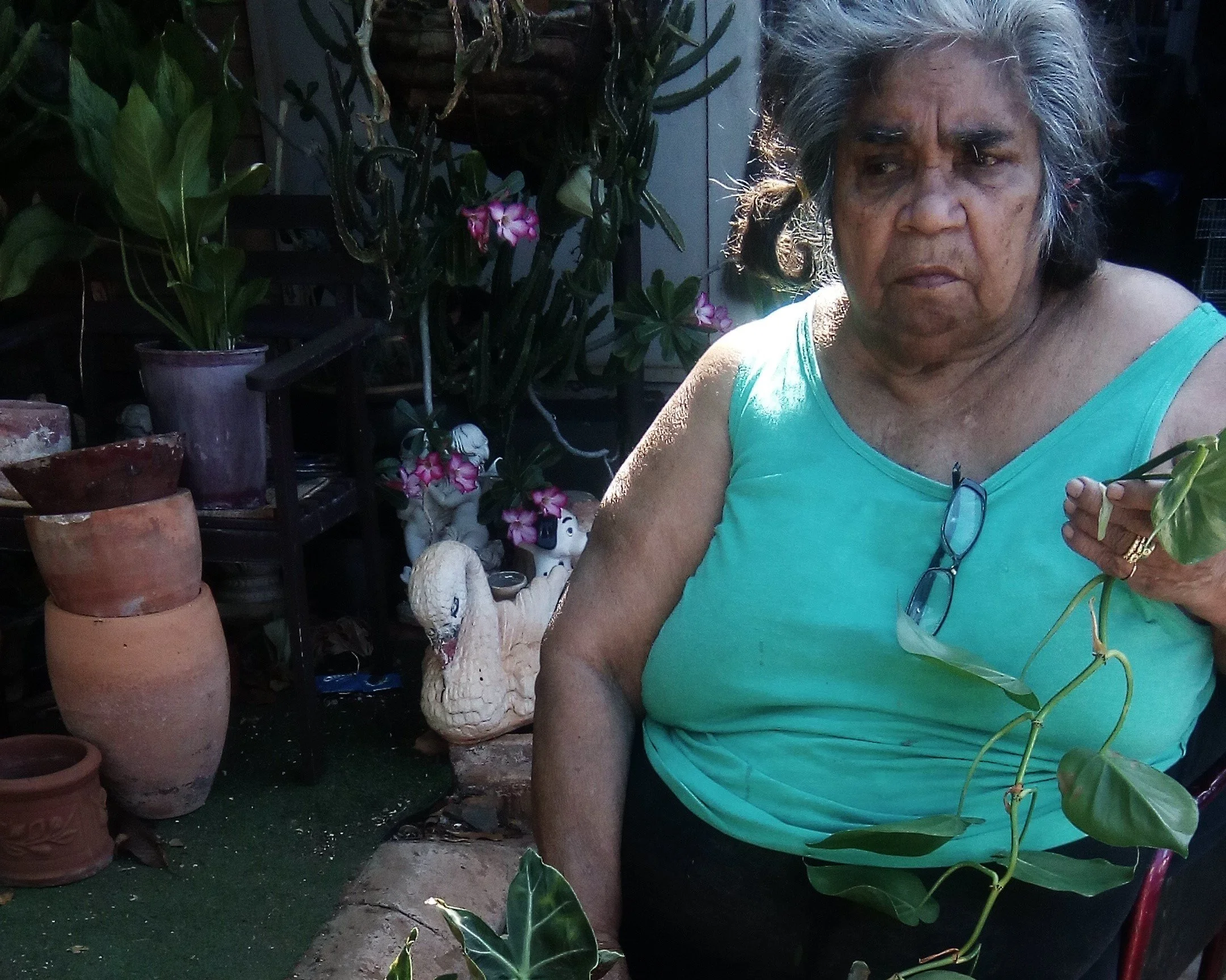 WHEELCHAIR PENSIONER CAN’T ACCESS DENTIST
