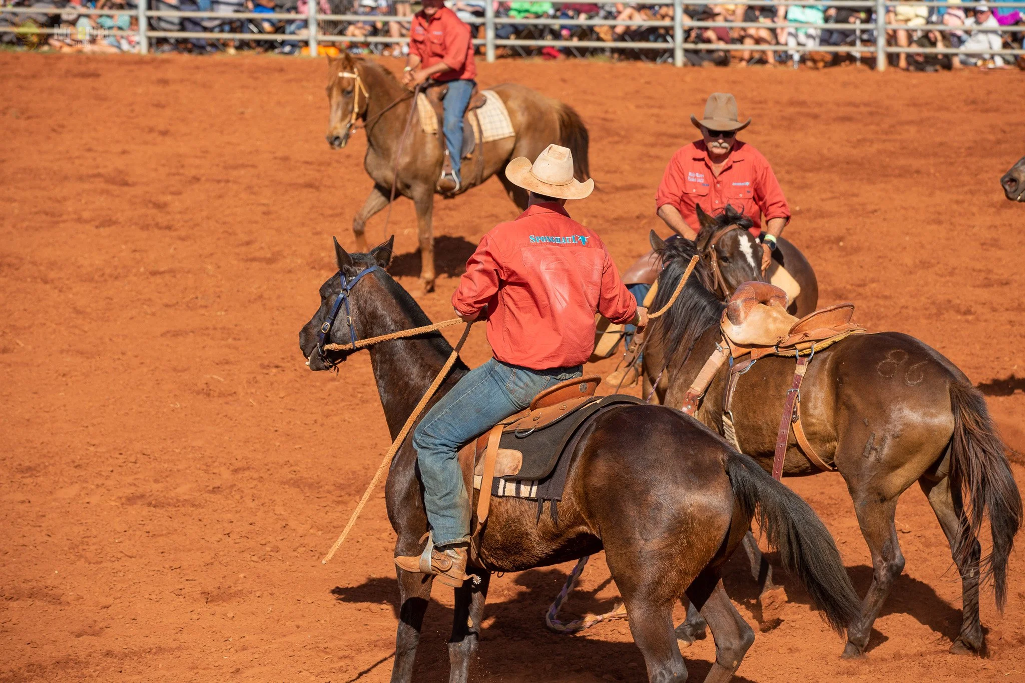 RODEO HORSE PUT DOWN AFTER FIRECRACKER INCIDENT