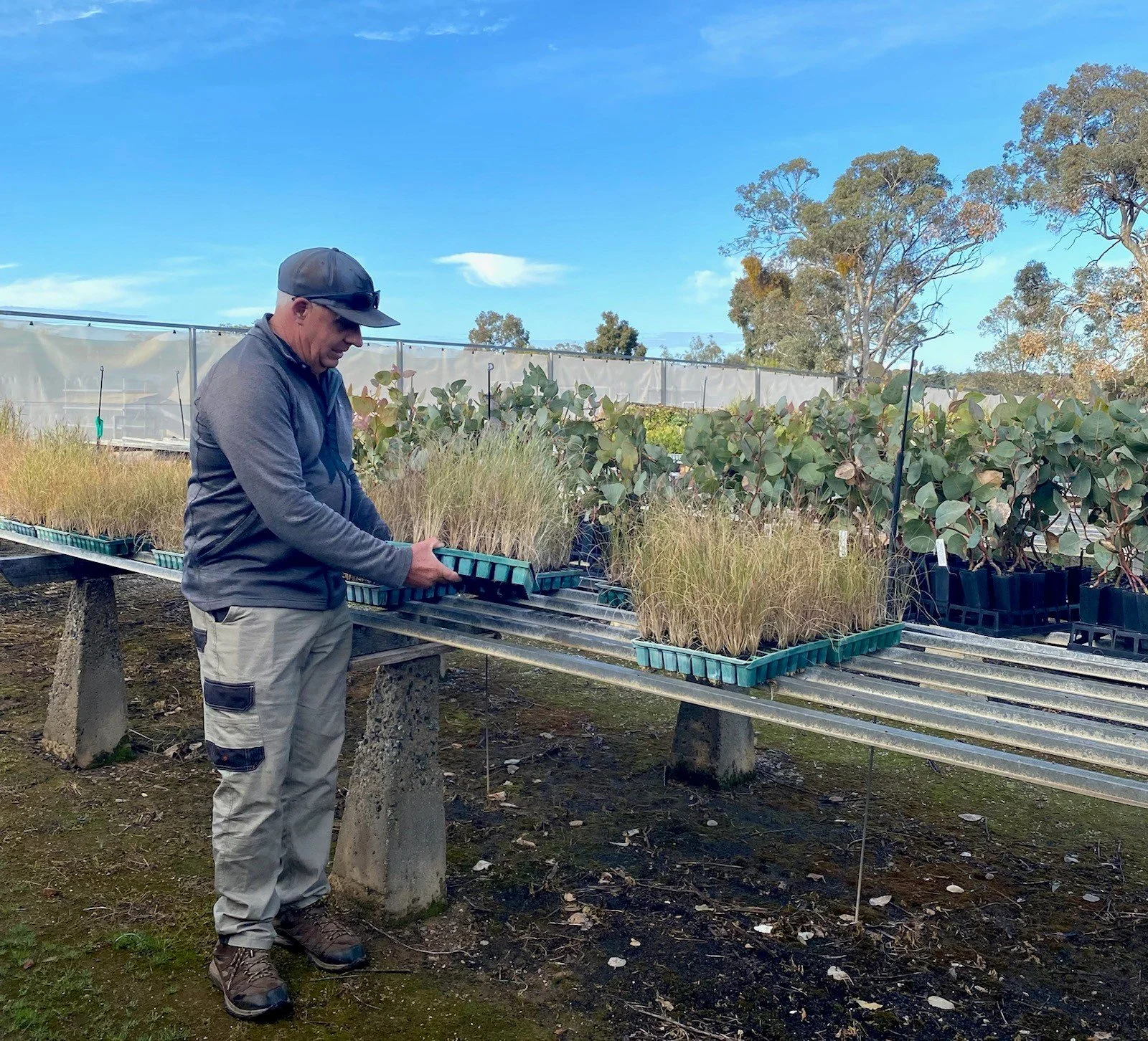 ABORIGINAL ENTREPRENEURS WANTED FOR REVEGETATION