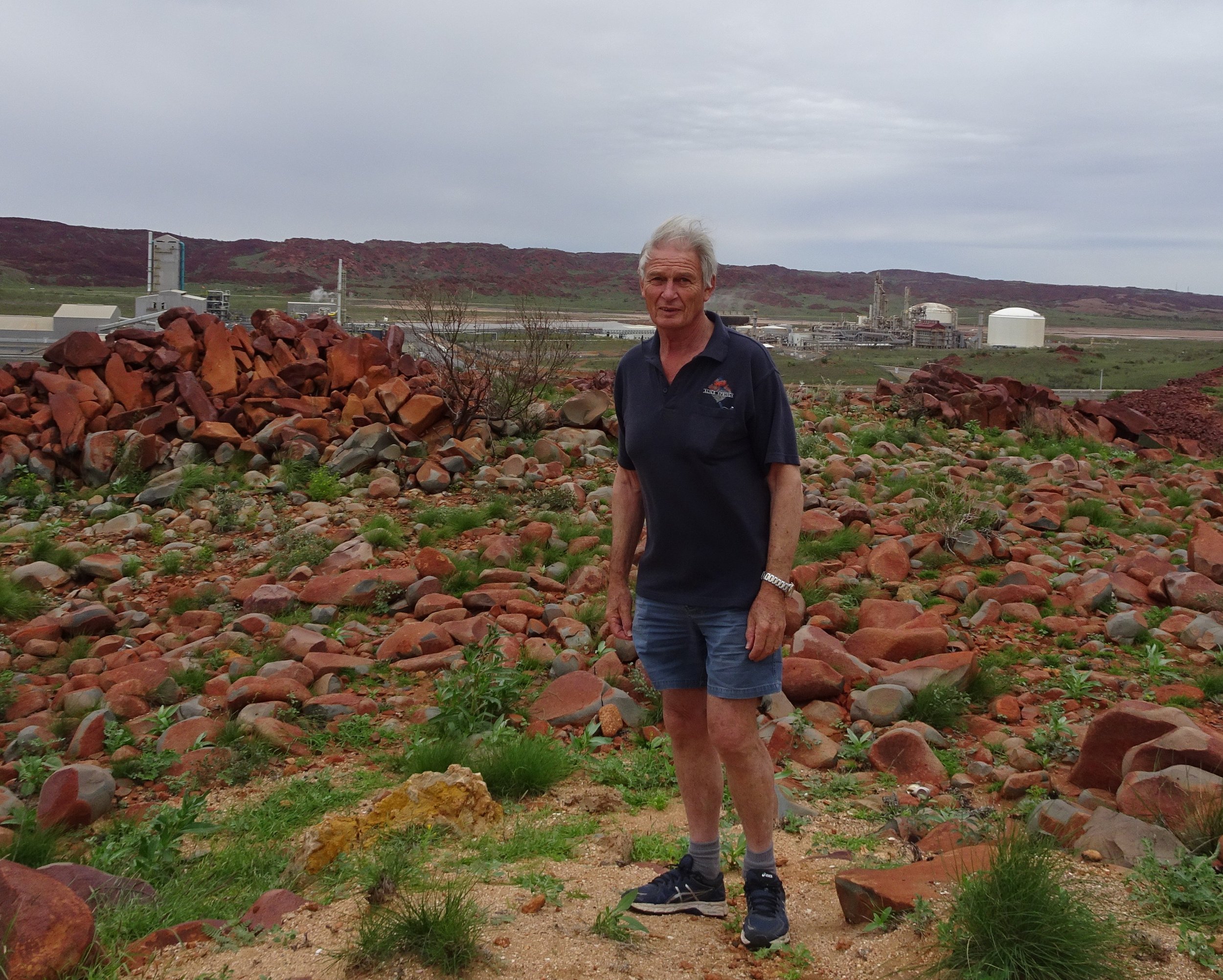 ACADEMIC ATTACKS BURRUP HYDROGEN PLAN