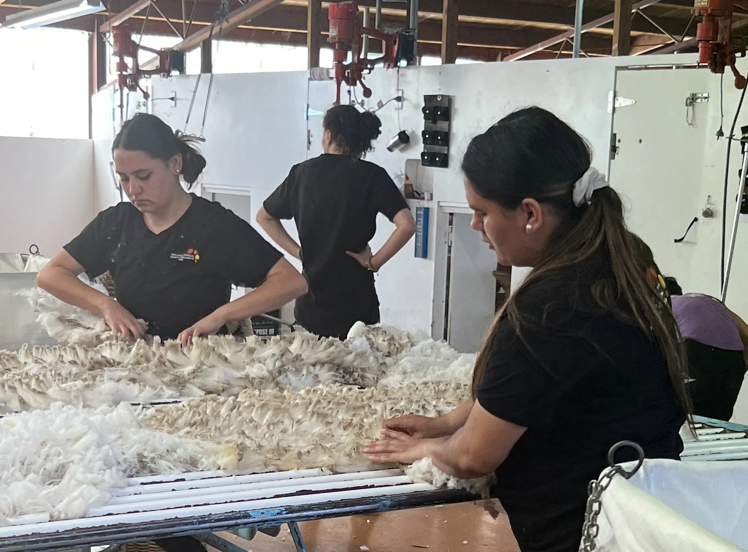 NGAARDA NEWS WEDNESDAY THE 12TH OF OCTOBER 2022