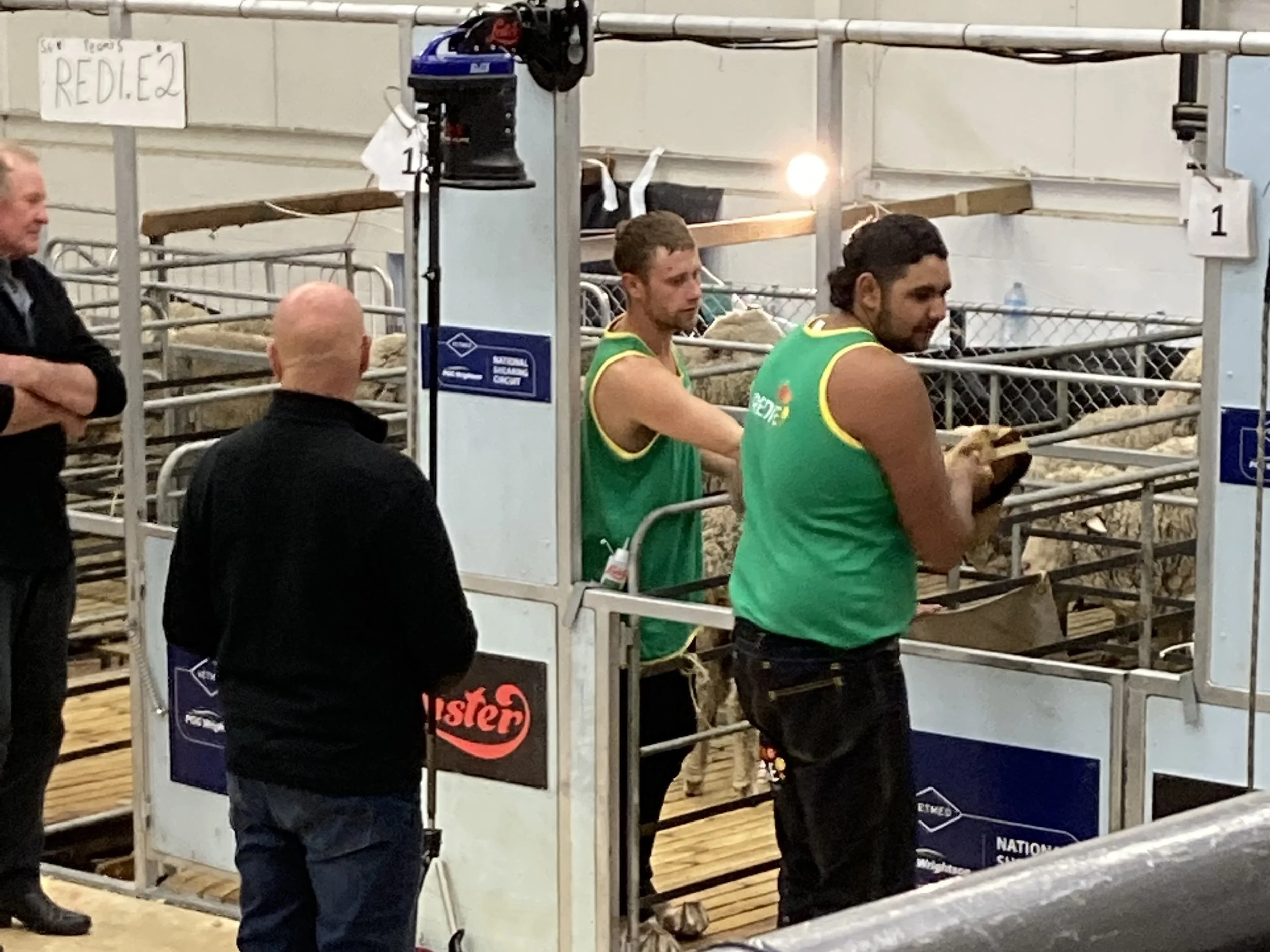 KOORI SHEARERS TAKE ON NEW ZEALAND