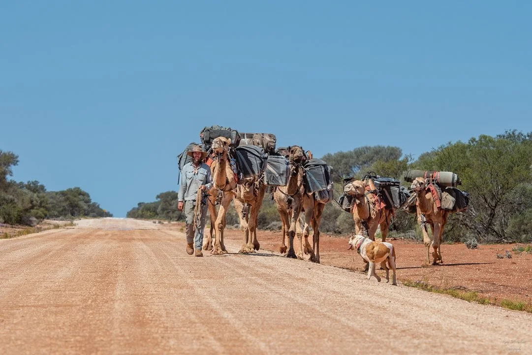 NGAARDA NEWS WEDNESDAY THE 19TH OF OCTOBER 2022