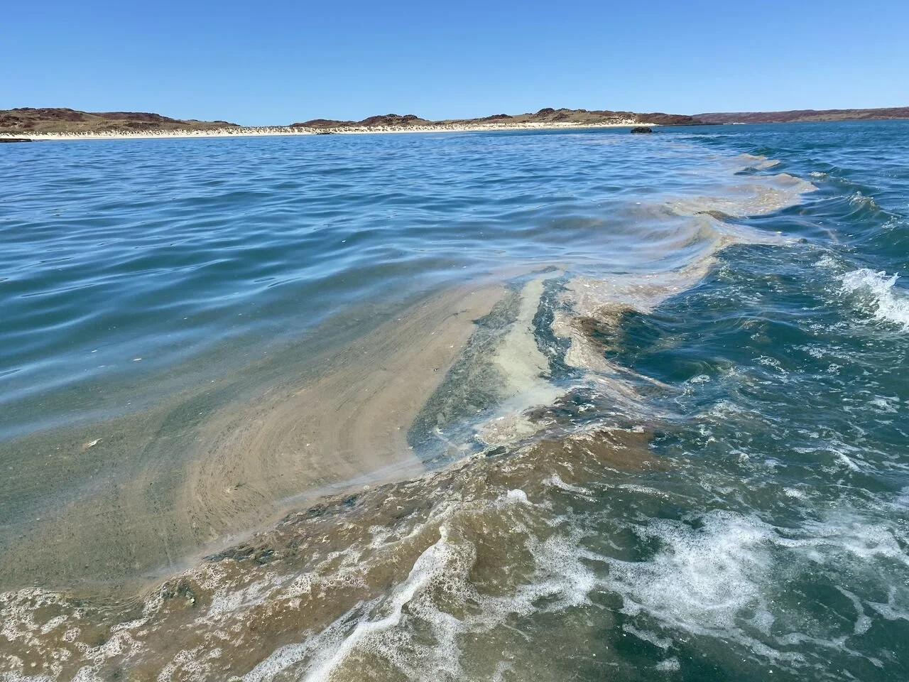 ALGAE BLOOMS OFF PILBARA COAST