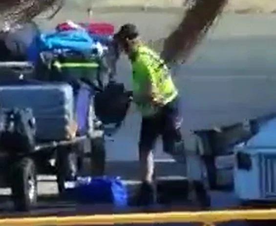 BAGGAGE HANDLER STOOD DOWN