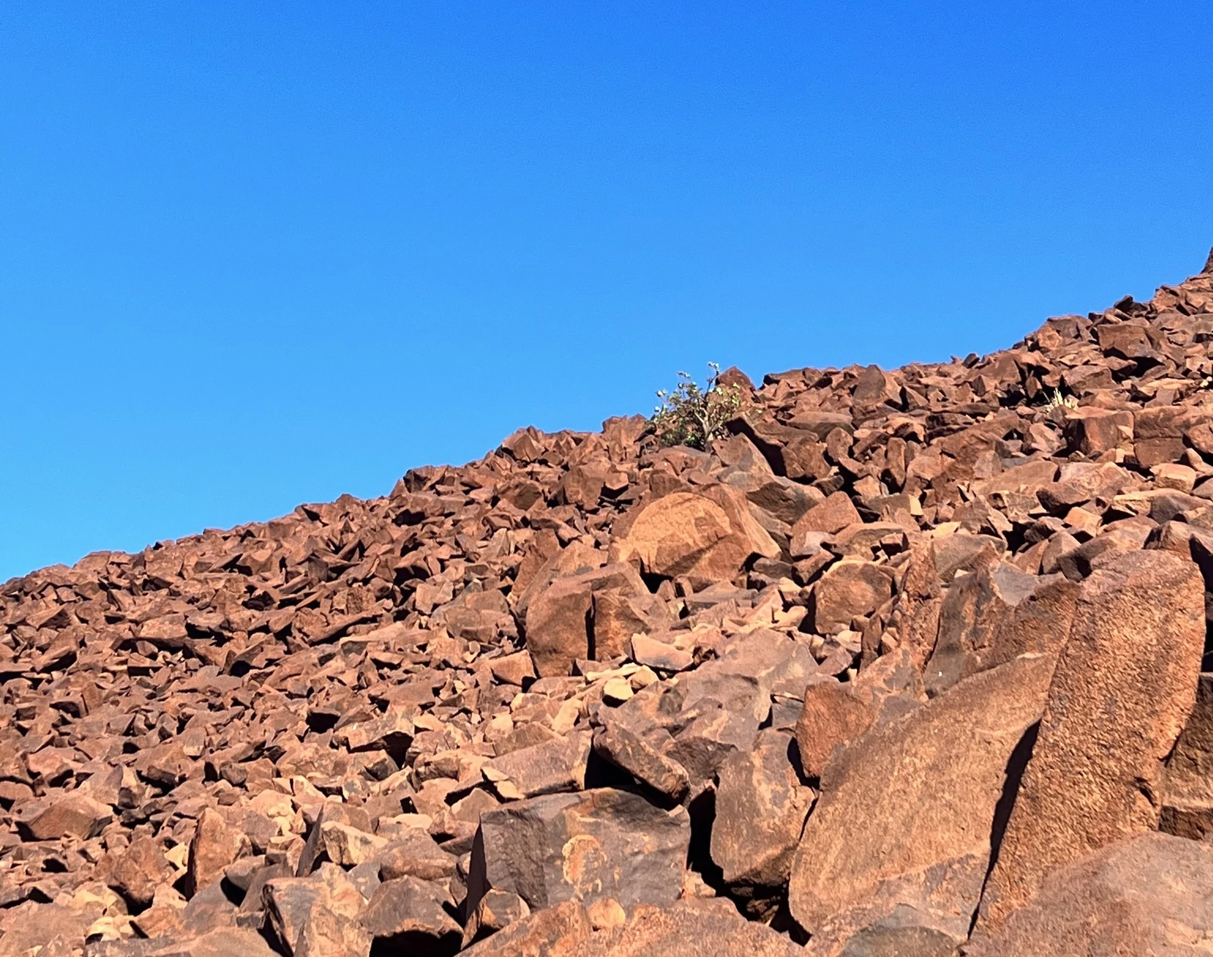 ROCK ART EXPERT CHALLENGES POLITICIANS ON MURUJUGA THREATS