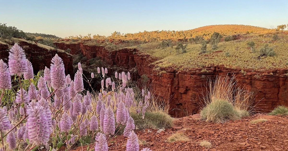 FORMER ABORIGINAL MISSION SITE RECEIVES STATE HERITAGE STATUS