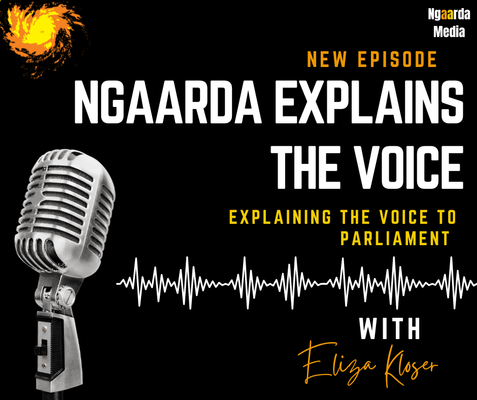NGAARDA EXPLAINS THE VOICE - EPISODE 3