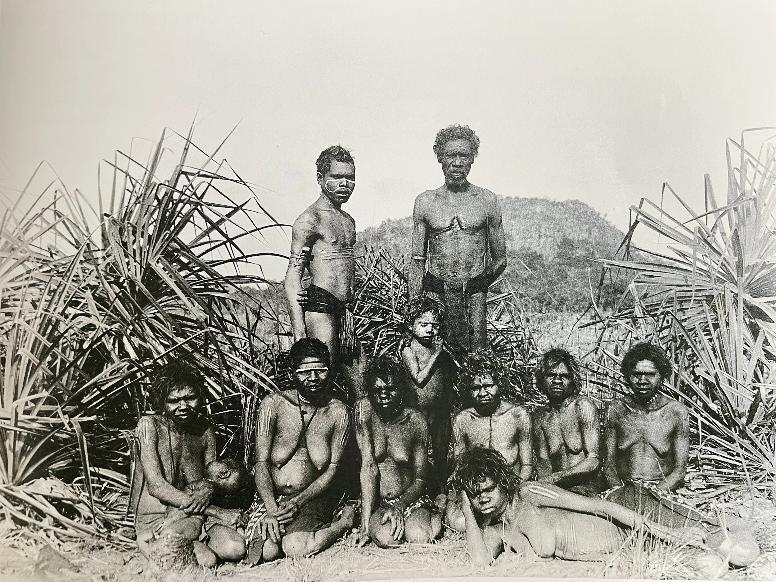 RESEARCHER STUDYING BARK ART DISCOVERS ARTIST IS HIS GREAT GRANDFATHER
