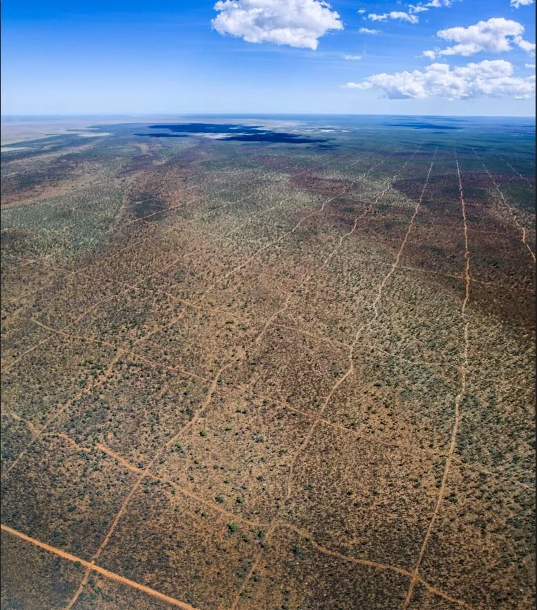 ENVIRONMENTALISTS TO APPEAL EPA DECISION ON KIMBERLEY LAND CLEARING