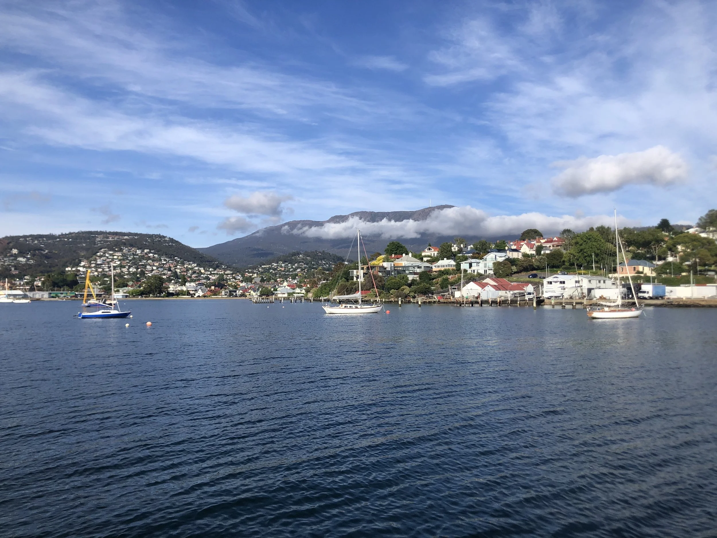 INDIGENOUS ARTIST PROMISED DEAD WHITE BODIES FOR ARTS FESTIVAL