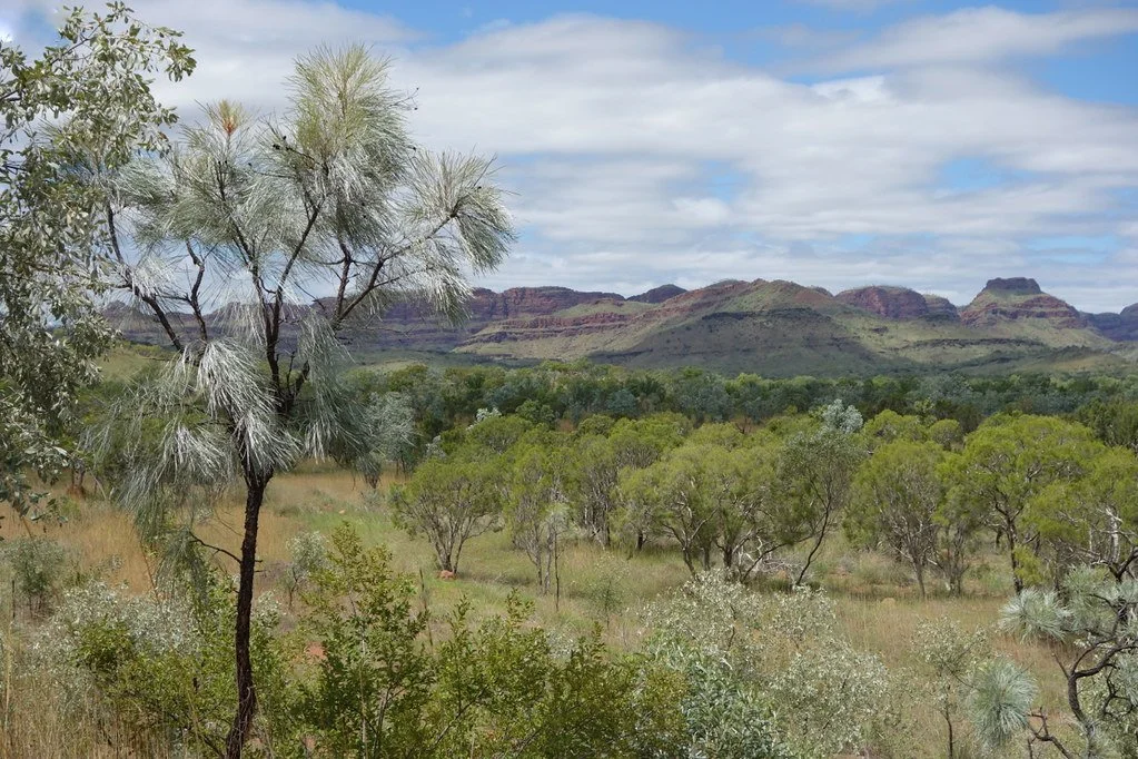 NGAARDA NEWS MONDAY 17 APRIL 2023