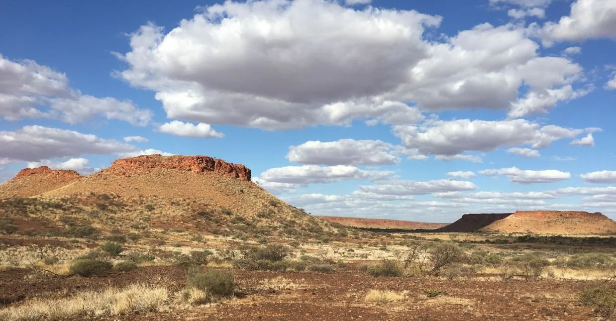 NGAARDA NEWS 25 AUGUST 2023