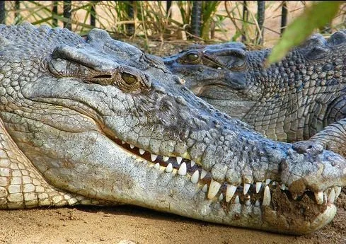 NGAARDA STATEWIDE NEWS: FRIDAY 6TH SEPTEMBER 2024