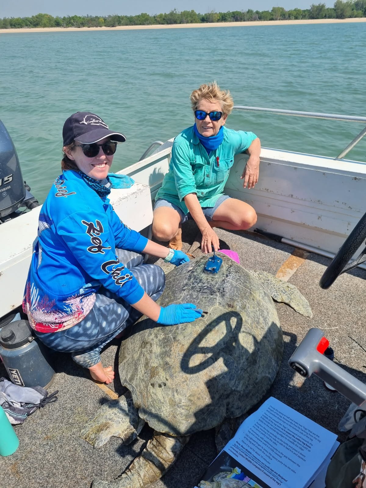 GREEN TURTLE NESTING DECLINE ON CROKER ISLAND