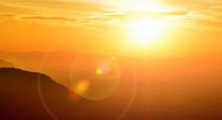 NGAARDA STATEWIDE NEWS: FRIDAY 14th MARCH