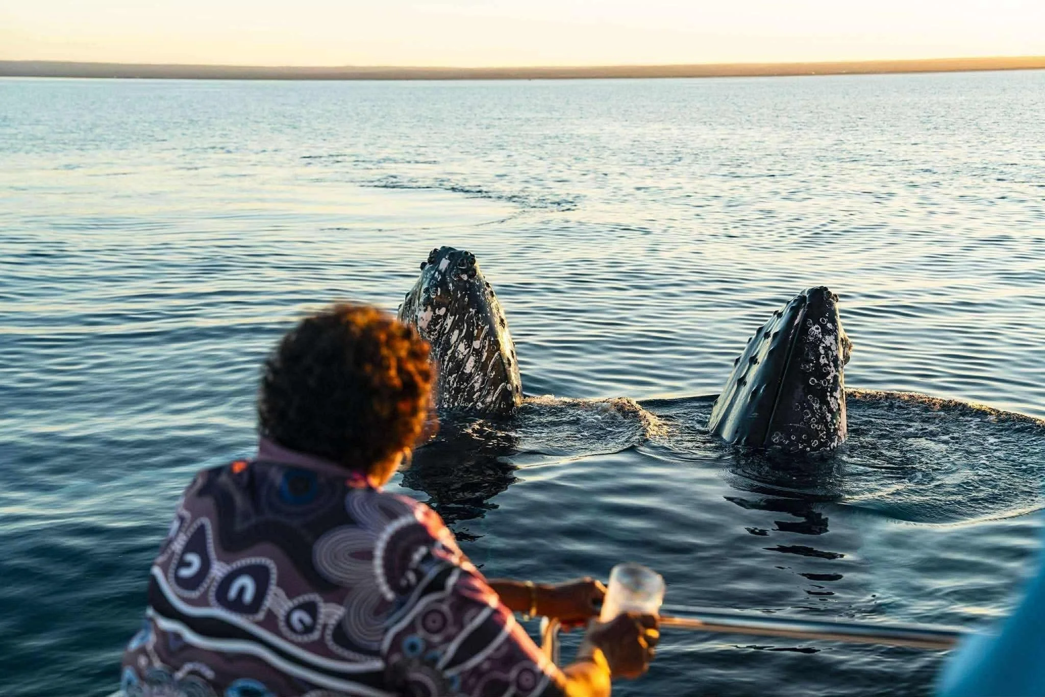 NINGALOO TRADITIONAL OWNER DESCRIBES SPIRITUAL CONNECTION WITH HUMPBACK WHALES