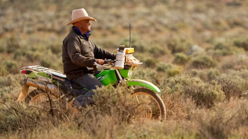 NGAARDA STATEWIDE NEWS: FRIDAY 3RD OCTOBER 2025