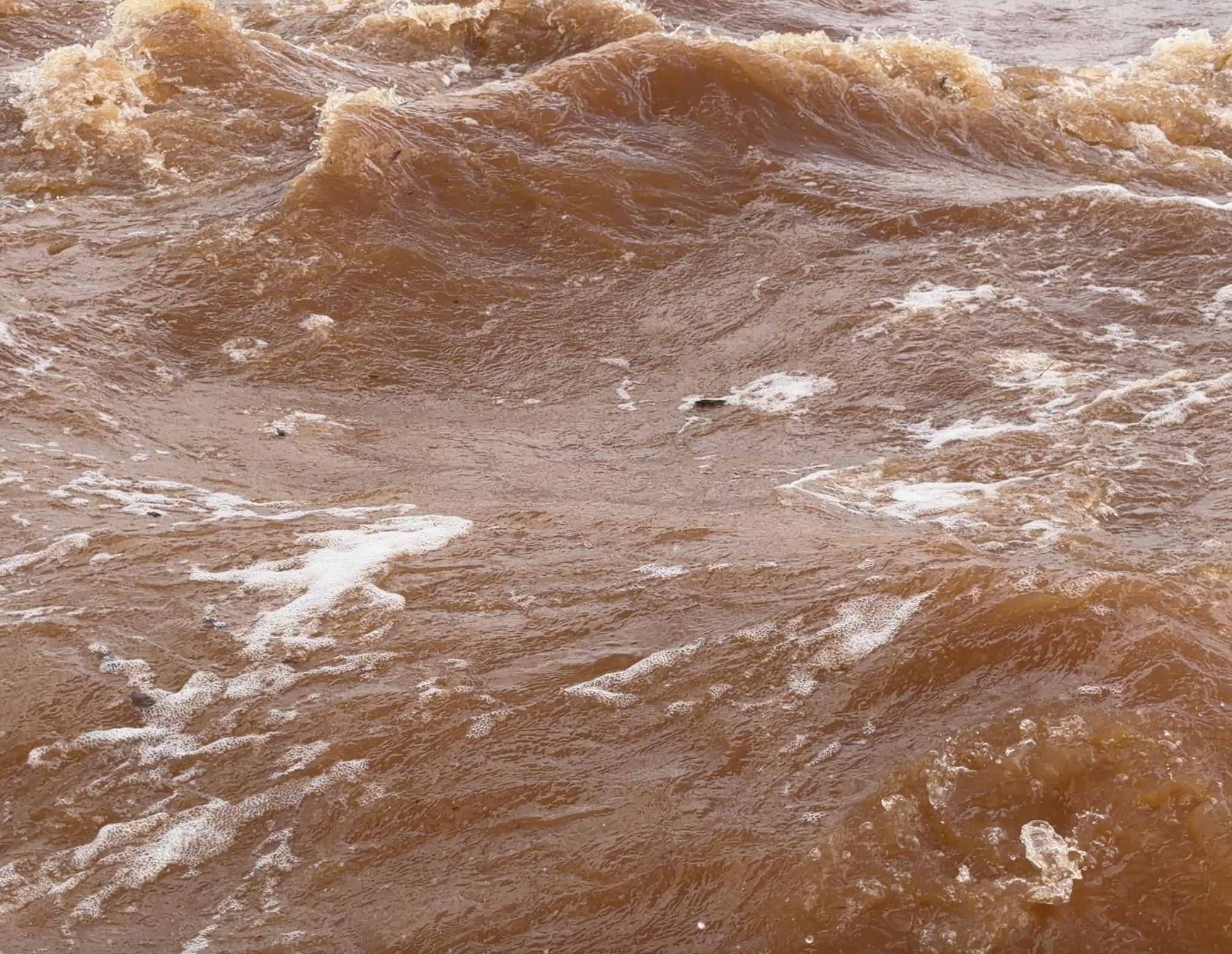 NGAARDA STATEWIDE NEWS: THURSDAY 2 APRIL 2026