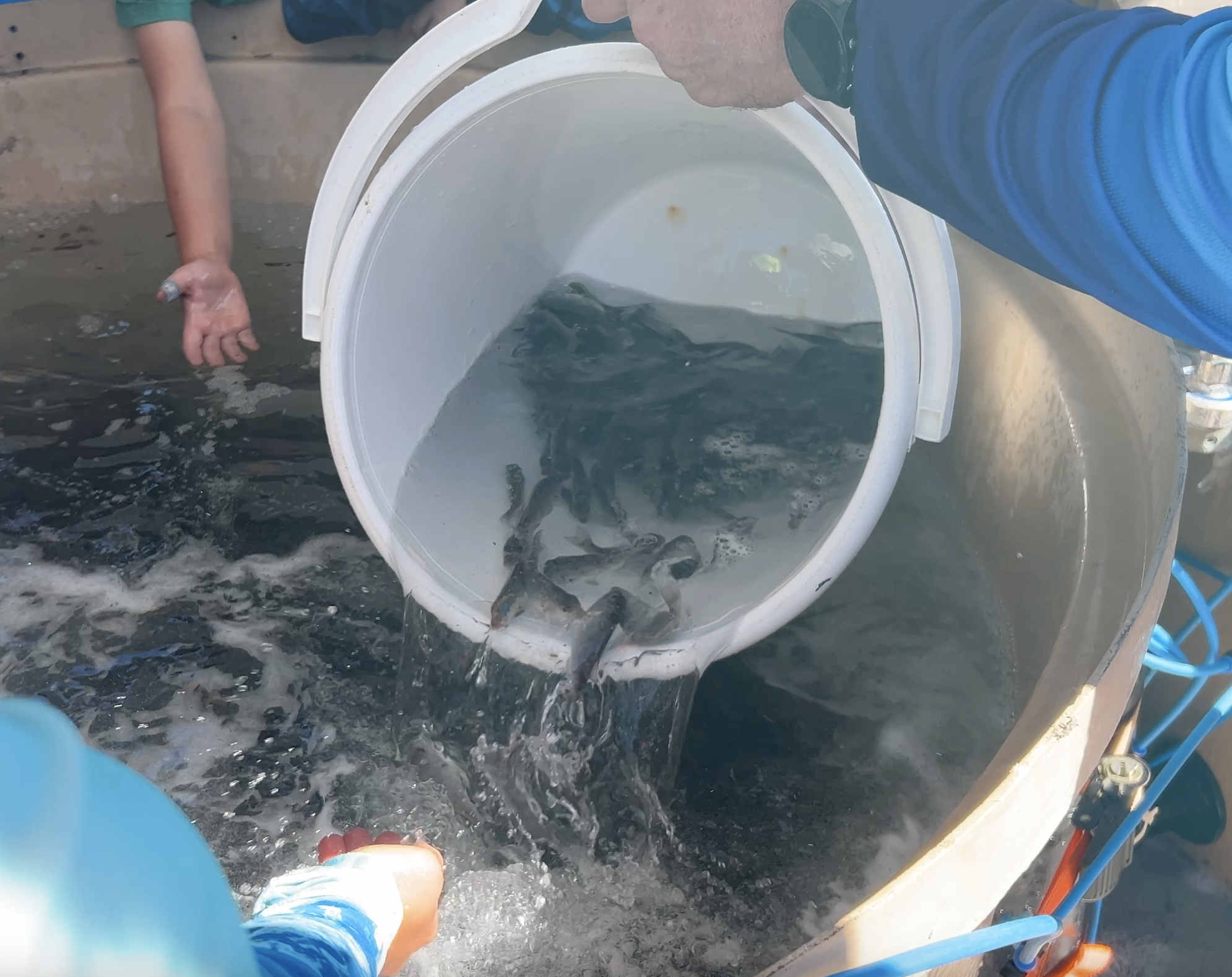 NGAARDA STATEWIDE NEWS: TUESDAY 21 APRIL 2026