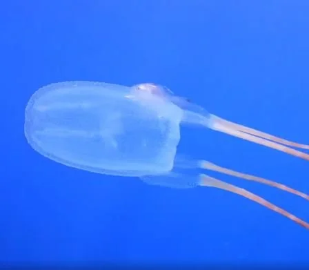 NGAARDA STATEWIDE NEWS: 22 APRIL 2026