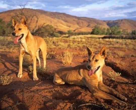 NGAARDA STATEWIDE NEWS: FRIDAY 24 APRIL 2026