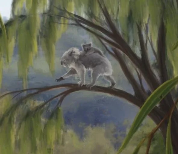NGAARDA STATEWIDE NEWS: FRIDAY 8 MAY 2026