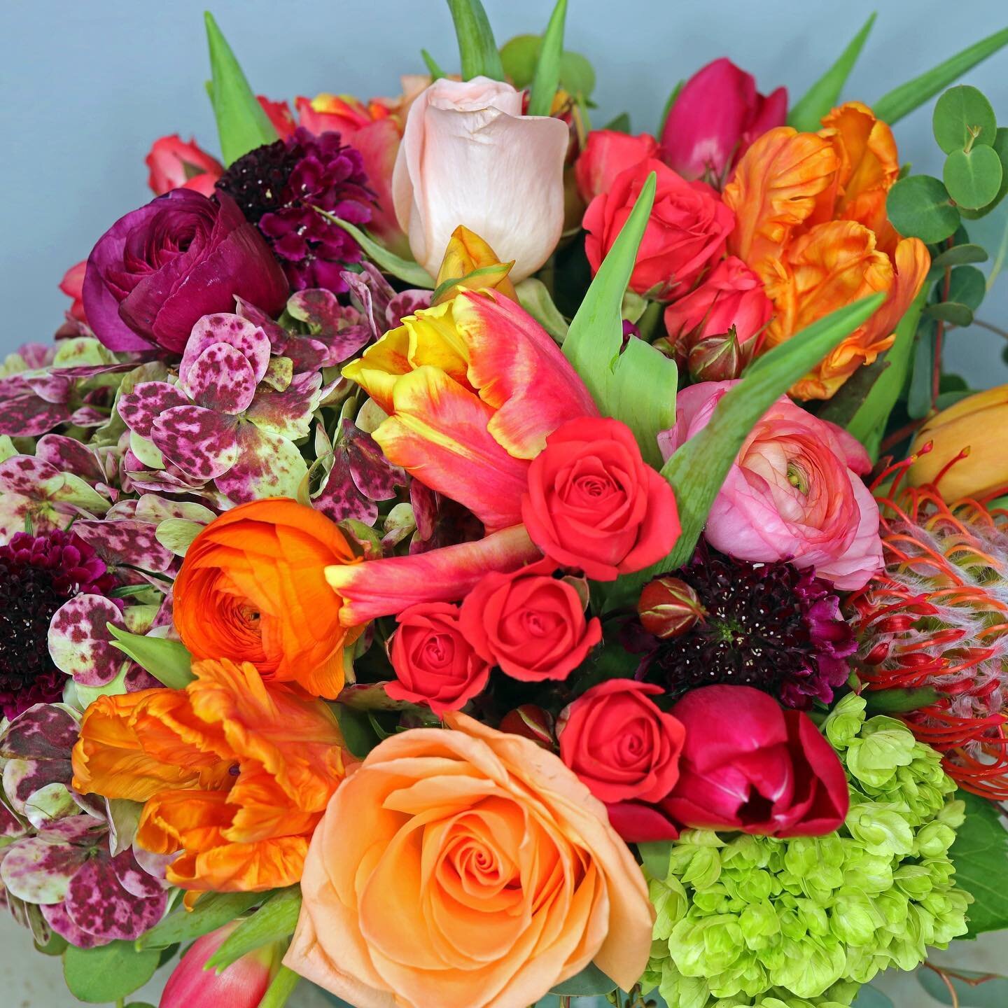 Our favorite blooms 🌺🌷💐, just unboxed this morning! Local New Jersey Tulips, Antique Hydrangea, Clooney Ranunculus, Scabiosa, and Roses. Stop by in person @noelsyart this week to see this arrangement. Happy Monday Everyone!☺️(it&rsquo;s always a h