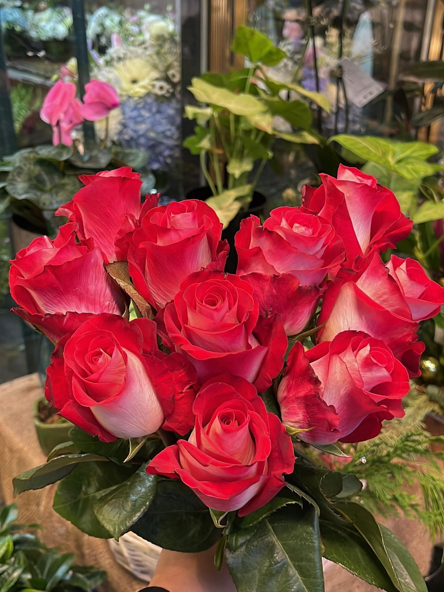 We are getting ready for Valentine&rsquo;s Day! These are our fire &amp; ice roses❤️&zwj;🔥❤️&zwj;🔥❤️&zwj;🔥