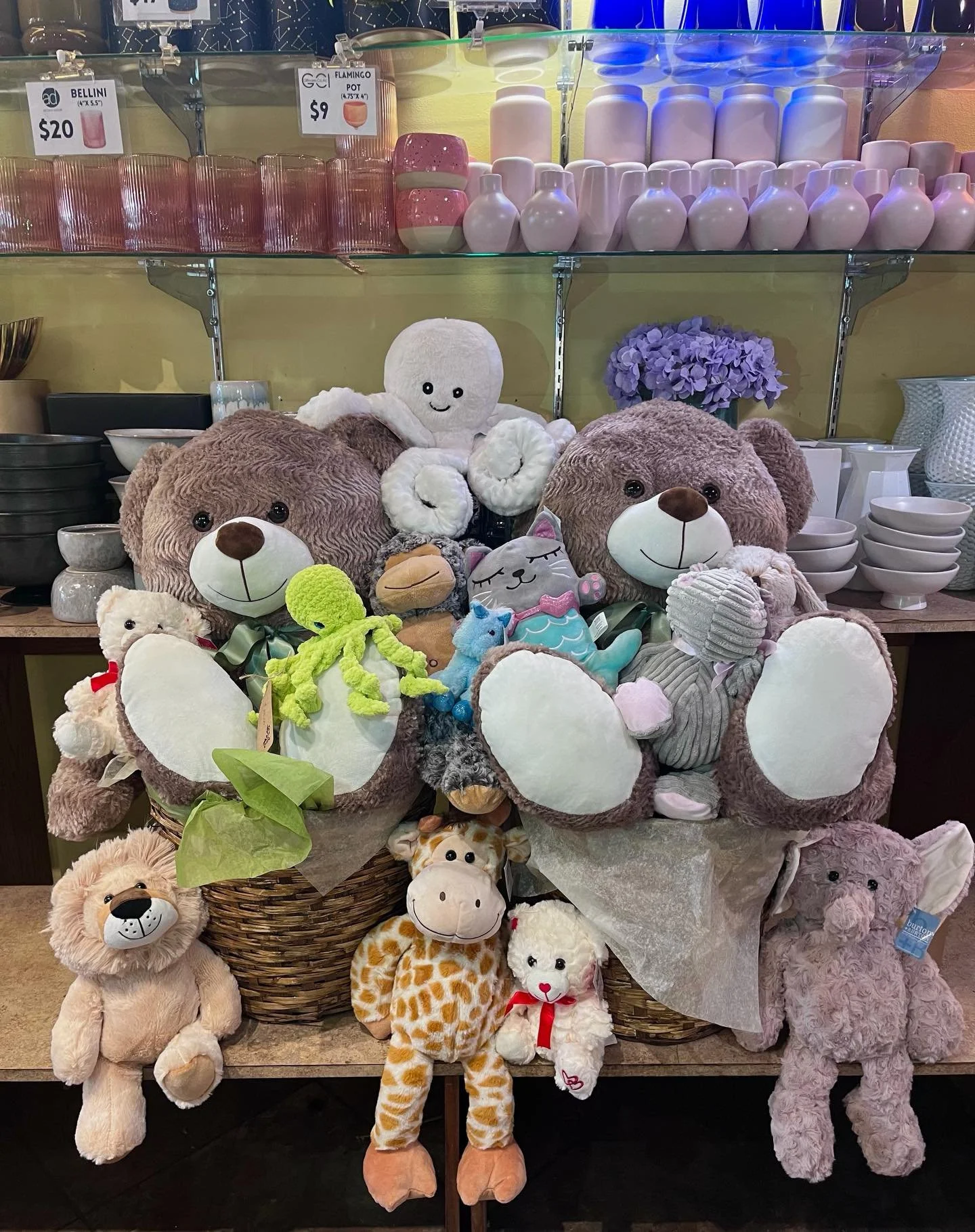 These plushies might steal your heart, they are ready to find a home🧸🧸🧸