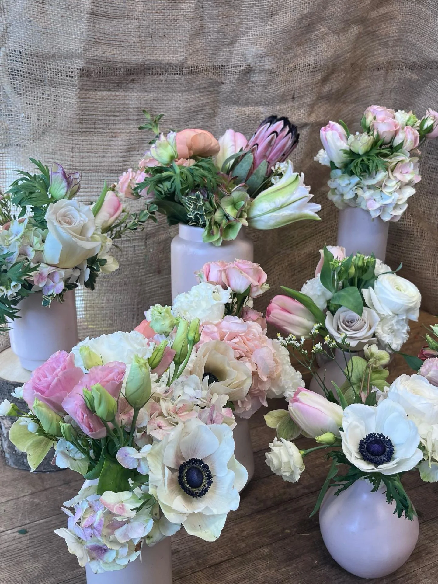 Take a look at our holly Chappell blush collection🌸🌺🌺

#flowers#flowershop